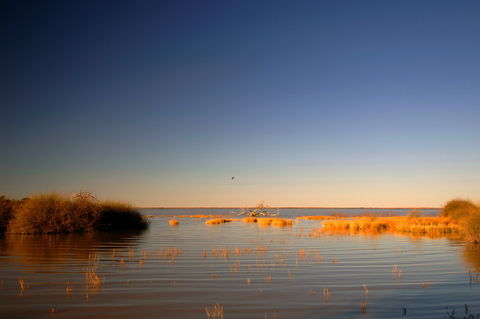 Malkumba-Coongie Lakes National Park - C Tourism 0