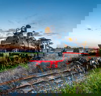 Mary Valley Rattler - C Tourism