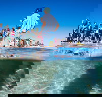 Monkey Mia - C Tourism