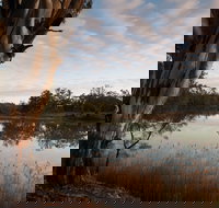 Murray-Kulkyne Regional Park - C Tourism