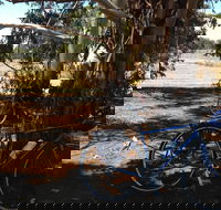 Murchison Rail Trail - C Tourism