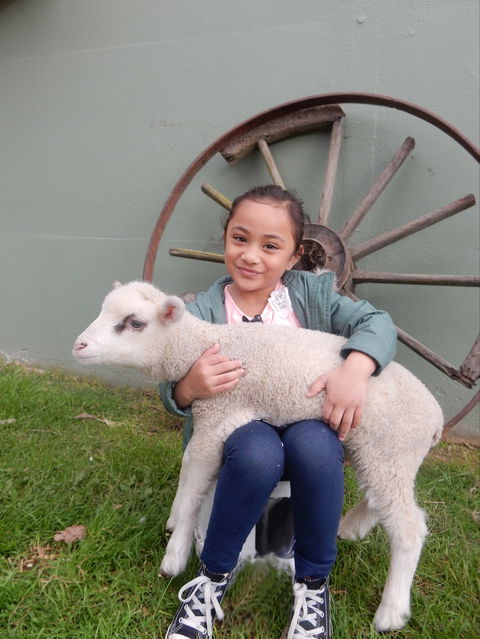 Myuna Farm - C Tourism 0