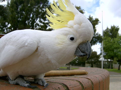Myuna Farm - C Tourism 1