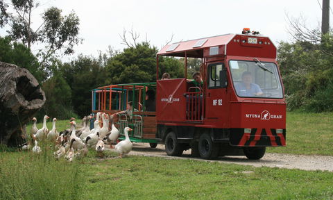 Myuna Farm - C Tourism 2