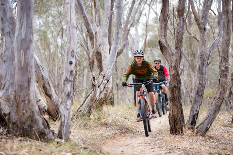 Nail Can Hill - C Tourism 1