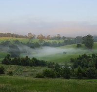 Neerim South - C Tourism