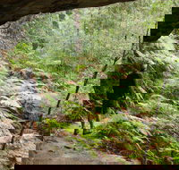 Old Great North Road Bike Ride - C Tourism