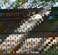 Palmerston Cemetery - C Tourism