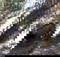 PS Providence historic site - C Tourism