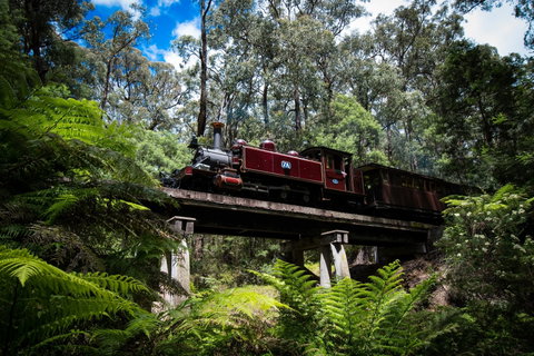 Puffing Billy Railway - C Tourism 0