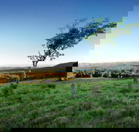 Ravensbourne National Park - C Tourism