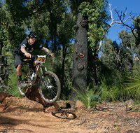 Scorpion Trail Kalamunda Mountain Bike Trails - C Tourism