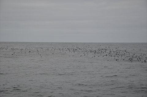 Settlement Point Viewing Platform - C Tourism 1