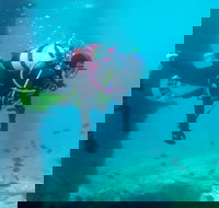 Shellharbour Scuba  and Photography Centre - C Tourism