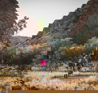 Simpsons Gap Bicycle Path - C Tourism