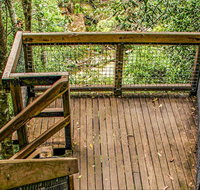 Somersby Falls walking track - C Tourism