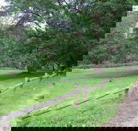 St Albans Reserve - C Tourism