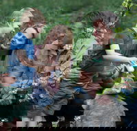 Tamworth Marsupial Park and Adventure Playground - C Tourism