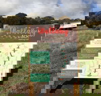The Wallaby Track - C Tourism