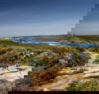 The Coast track - C Tourism