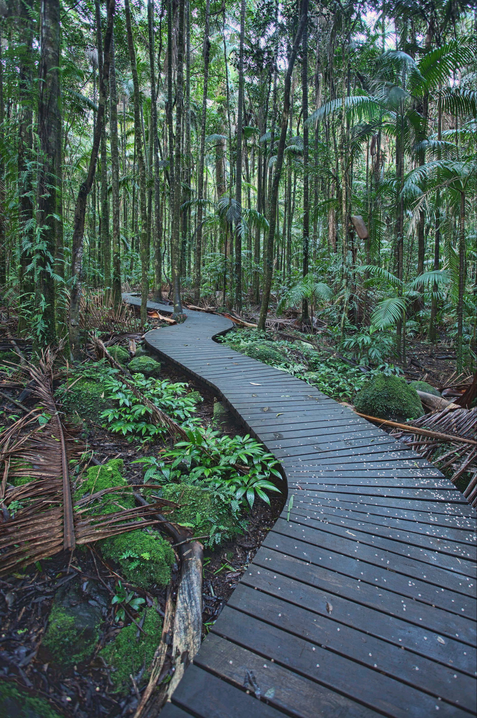 Koonorigan NSW C Tourism