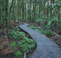 The Channon Protesters Falls Nimbin and Mount Nardi - C Tourism