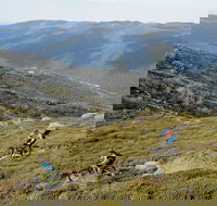 Thredbo Mountain Biking - C Tourism