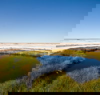 Wabma Kadarbu Mound Springs Conservation Park - C Tourism