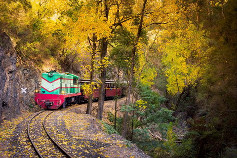 Walhalla Goldfields Railway - C Tourism 2