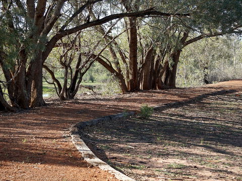 Warrego Floodplain Walking Track - C Tourism 0