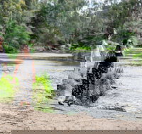 Warrandyte River Reserve - C Tourism