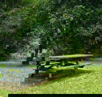 Williams River picnic area - C Tourism