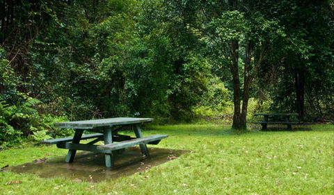 Williams River Picnic Area - C Tourism 0