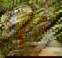 William Ricketts Sanctuary - C Tourism