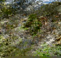 Yarrambat Park - C Tourism
