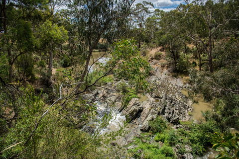 Yarrambat Park - C Tourism 0