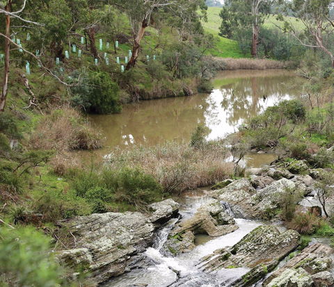 Yarrambat Park - C Tourism 1