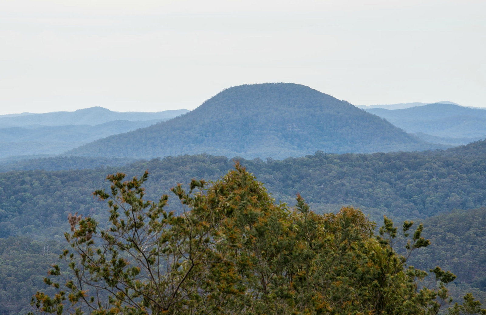 Abernethy NSW C Tourism