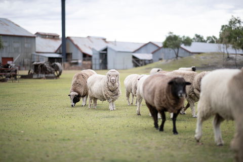 14 Day Gems Of The Outback - C Tourism 2