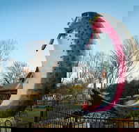 Adaminaby - C Tourism