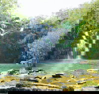 Airlie Beach to Cedar Creek Falls - C Tourism