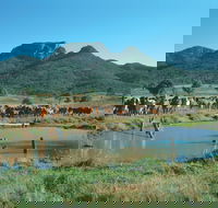 Biggenden - C Tourism