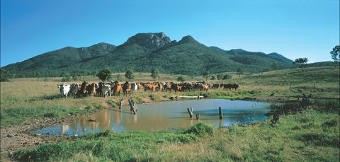 Biggenden - C Tourism 0