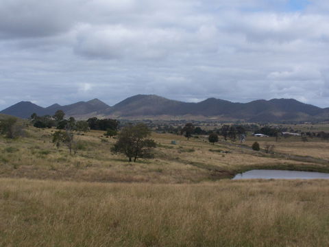 Biggenden - C Tourism 2