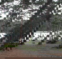 Big Brook Arboretum - C Tourism