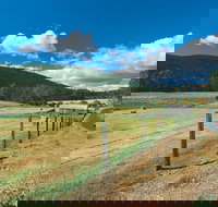 Blackwood River Tourist Drive - C Tourism