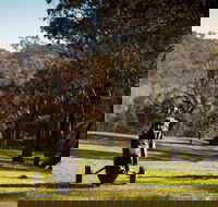 Blayney Golf Club - C Tourism