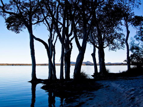 Boreen Point - C Tourism 0