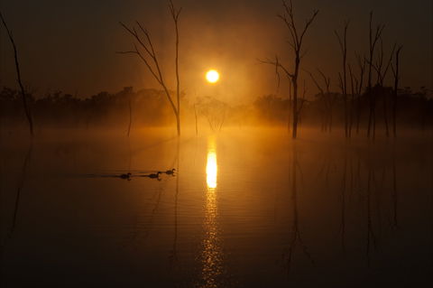 Boshack Outback - C Tourism 1