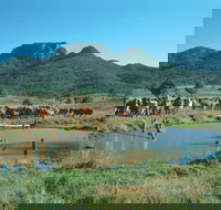 Bundaberg- Biggenden- Mount Perry Circle - C Tourism